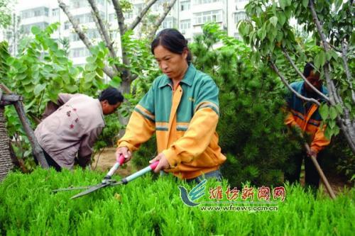 龍崗清潔公司植物養護